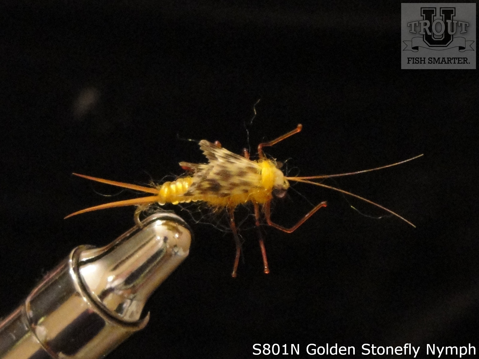 Golden Stonefly Nymph  Trout Pro Store